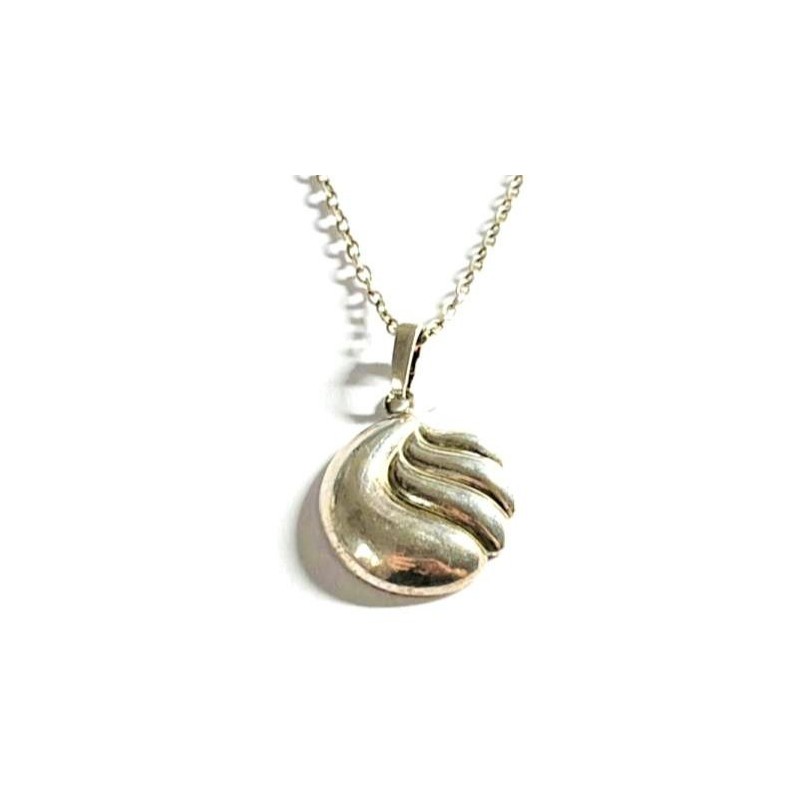 Stříbrný přívěšek se stříbrným  řetízkem – cena za komplet